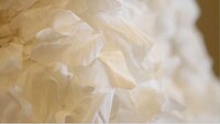 Bathroom Tissue Fashion Shoots Image 5
