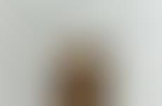 Misleading Doorway Decals