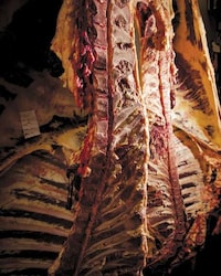 Responsibly Eating Animals Image 2