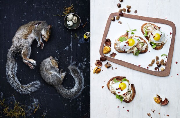 Repulsive Delicacy Photos