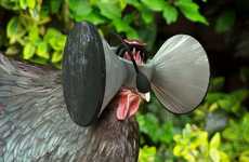 Fowl Virtual Reality Headsets