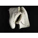 Paint-Cracking White Sneakers Image 2