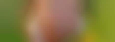 One-Stop Social Good Shops