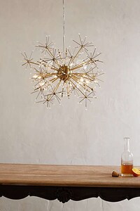 Dried Flower Illuminators Image 3
