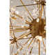 Dried Flower Illuminators Image 5