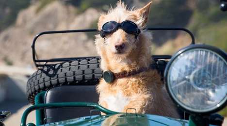 Advanced Pet Trackers