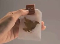 Stress-Compressing Tea Bags Image 4
