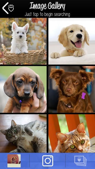 Lookalike Pet Adoption Apps