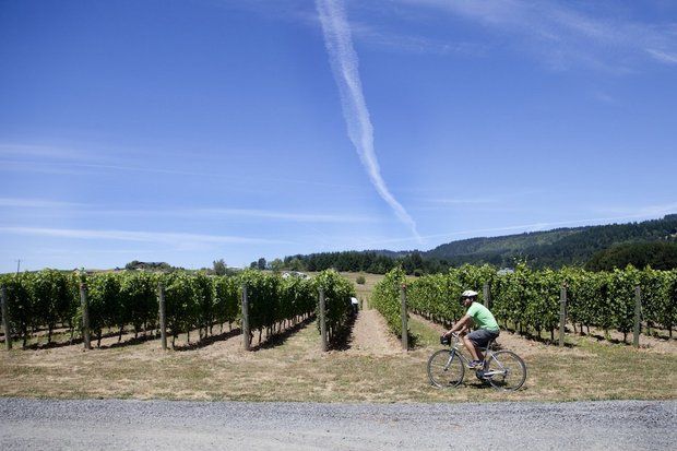 Cyclist Wine Tours