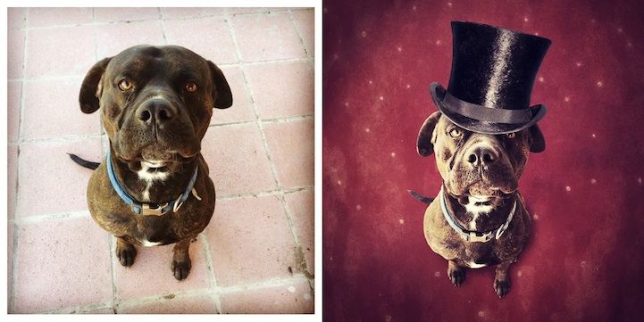 Photoshopped Adoption Projects