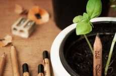 Sprouting Pencil Plants