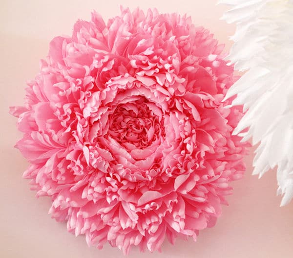 Top 100 Design Trends in June