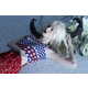 Ethereal Dreamscape Editorials Image 8