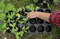 Job-Training Urban Farms