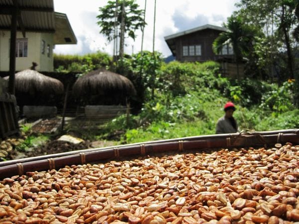 44 Horticultural Social Enterprises