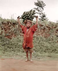 Fair Trade Photography Image 3