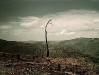 Fair Trade Photography Image 7