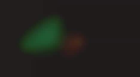 Glow-In-The-Dark Trucks