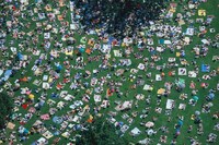 Aerial Outdoor Leisure Photography Image 2