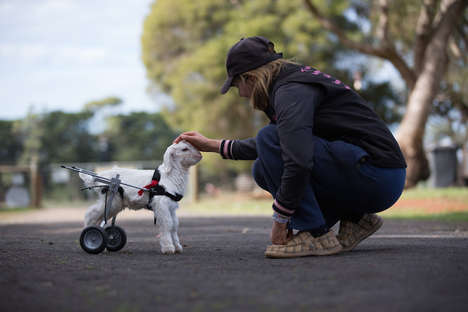 Mobility-Enhancing Animal Devices