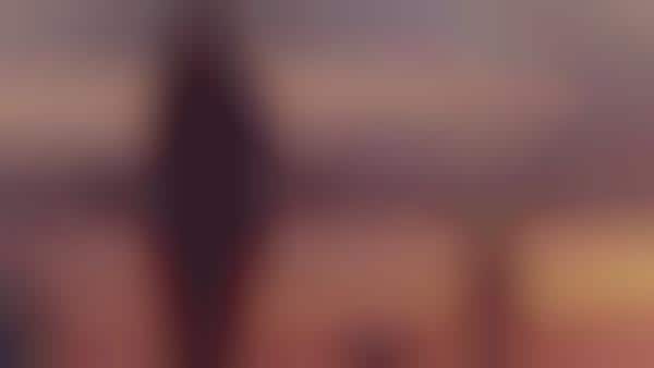 Body Image Videos