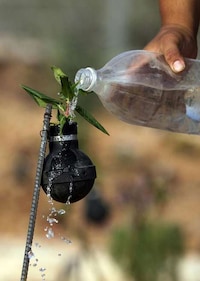 Tear Gas Grenade Gardens Image 2