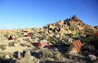 Mesmerising Desert Tents Image 3