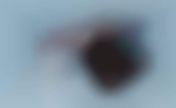 Hybrid Digital Cameras