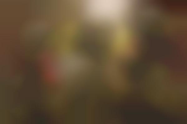 Army Uniform Teddy Bears