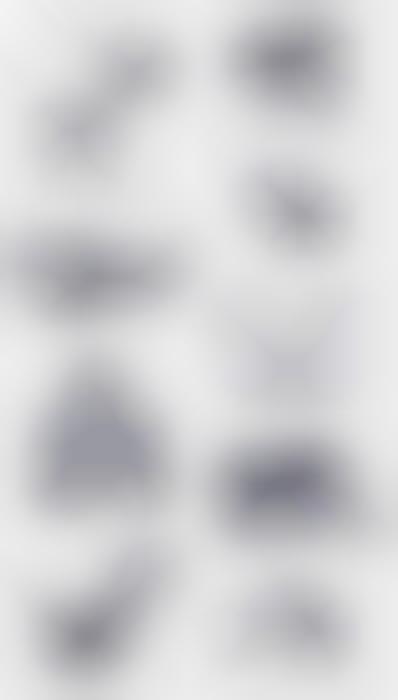 Calligraphy Animal Illustrations