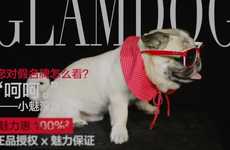 Chic Brand Spokesdogs