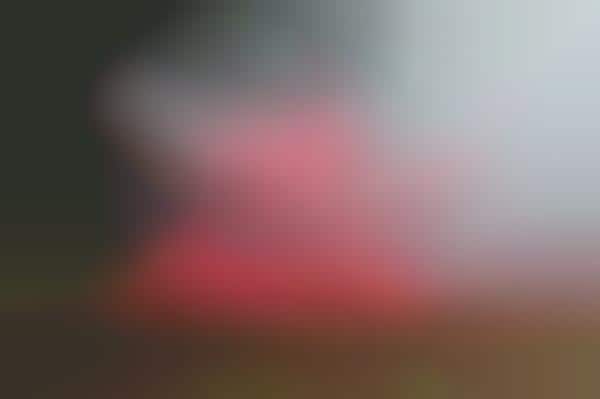 Colorful Smoke Photography