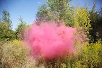 Colorful Smoke Photography Image 8