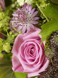Kinder Bouquets Image 3