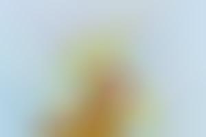 Abstractedly Stacked Photography : wyne veen photography