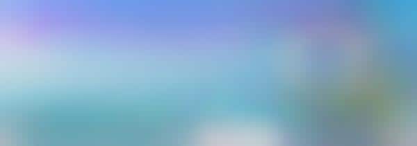 Cruise Line Chat Services