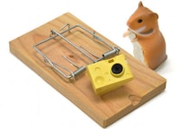 Miniature Cheese Cameras Image 2