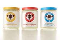 Playful Yogurt Branding Image 2