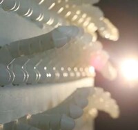 3D-Printed Phallic Murals Image 2