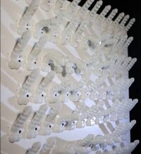 3D-Printed Phallic Murals Image 3