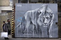 Sorrowful Animal Graffiti Image 3