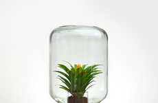 Low Maintenance Indoor Gardening