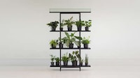 Low Maintenance Indoor Gardening Image 3