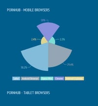 Smutty Browsing Infographics Image 2