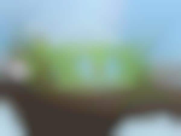 Endangered Virtual Pet Games