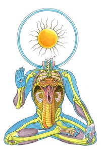 Symbolic Anatomy Art Image 2