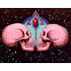 Symbolic Anatomy Art Image 3