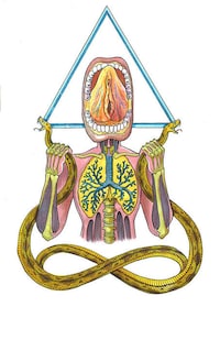 Symbolic Anatomy Art Image 5