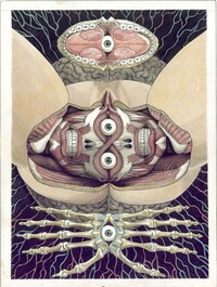 Symbolic Anatomy Art Image 7