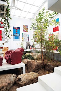 Eclectic Lush Abodes Image 4